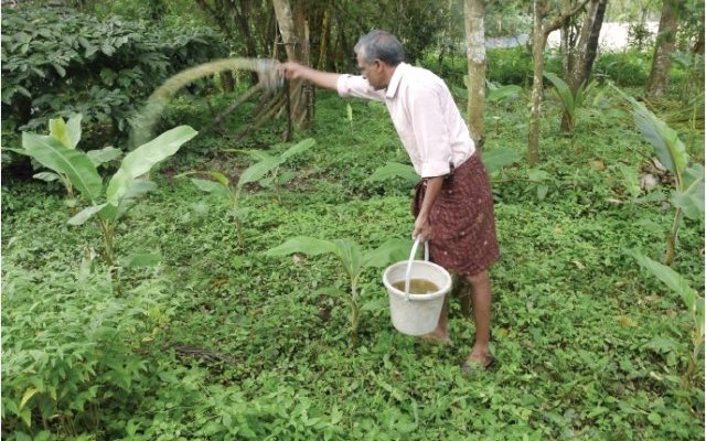 Tour du monde des pratiques de fertilisation