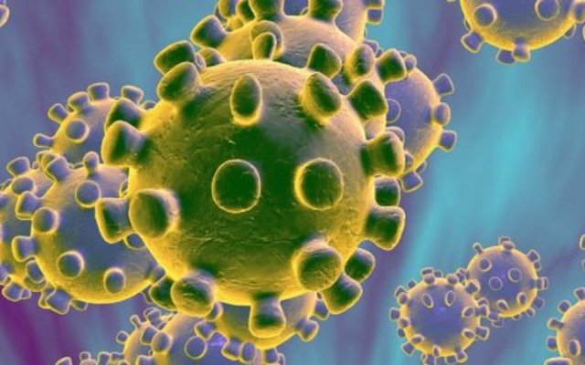 Propriétés antivirales, immomodulatrices et immunostimulantes d'Artemisia annua et afra