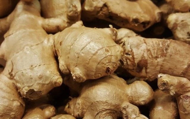 Plantes utilisées pour le traitement des vers...