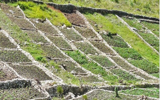Techniques traditionnelles I. Ralentir, étaler, retenir, faciliter l'infiltration de l'eau