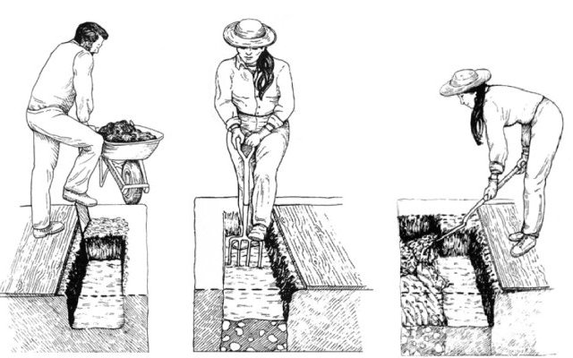 Développer un meilleur sens de l'humus