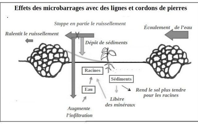 Techniques traditionnelles I. Ralentir, étaler, retenir, faciliter l'infiltration de l'eau