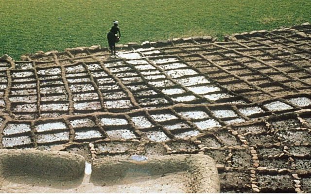 Techniques dogons de récolte de l'eau et de gestion de la fertilité des sols