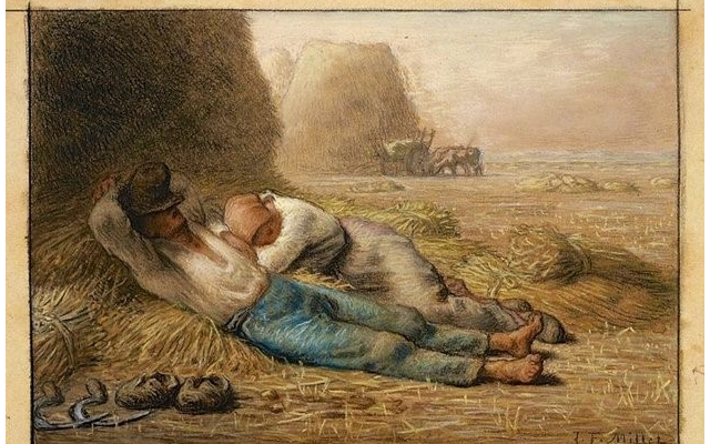 Fonction des fièvres