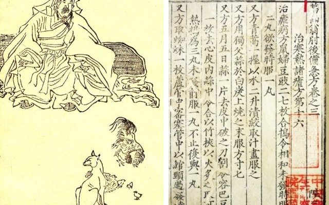 Médecine chinoise traditionnelle, traitement de la malaria et Artemisia