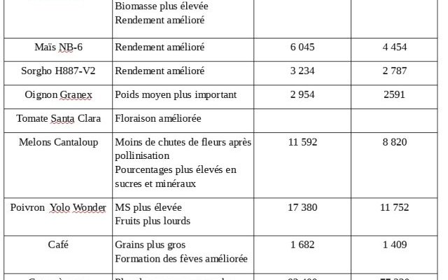 Moringa oleifera : booster de croissance