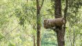 IMG: Apiculture et ruches rwandaises traditionnelles